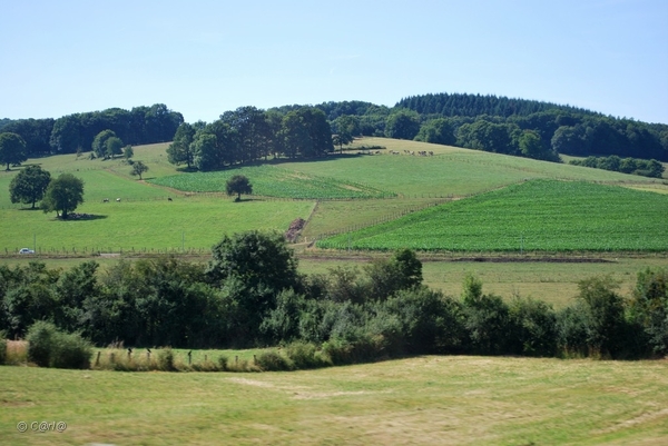 2010-07-08 D1 Vosselaar-Vesoul (14)