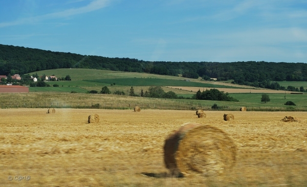 2010-07-08 D1 Vosselaar-Vesoul (7)