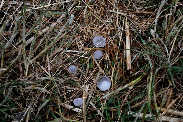 2010-07-10 D3 Annecy-Montalbert  (98)