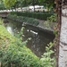 DSC01317