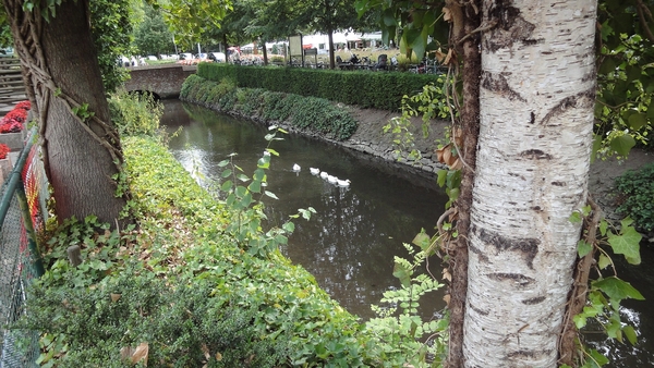 DSC01317
