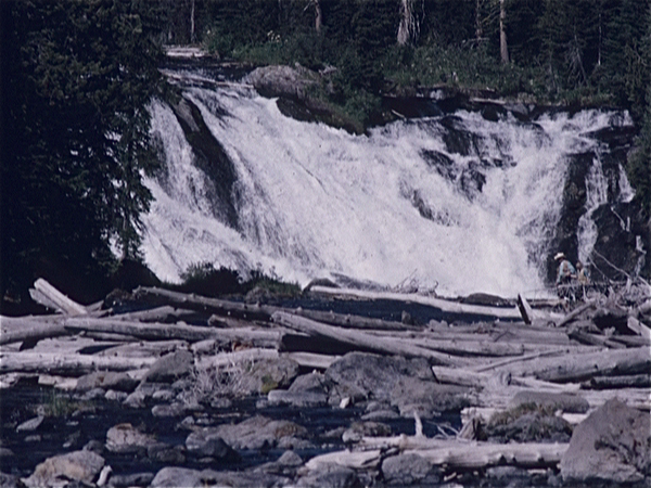 Yellowstone Park (Wyoming USA)