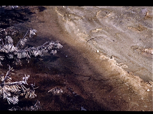 Yellowstone Park (Wyoming USA)