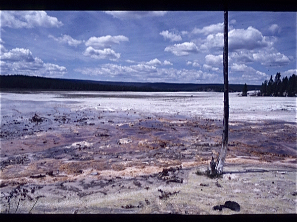 Yellowstone Park (Wyoming USA)