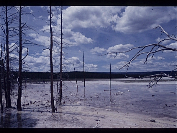 Yellowstone Park (Wyoming USA)