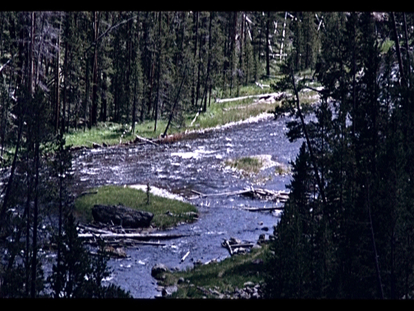 Yellowstone Park (Wyoming USA)