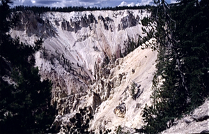 Yellowstone Park (Wyoming USA)