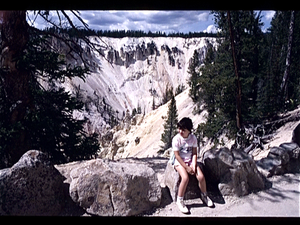 Yellowstone Park (Wyoming USA)