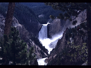 Yellowstone Park (Wyoming USA)