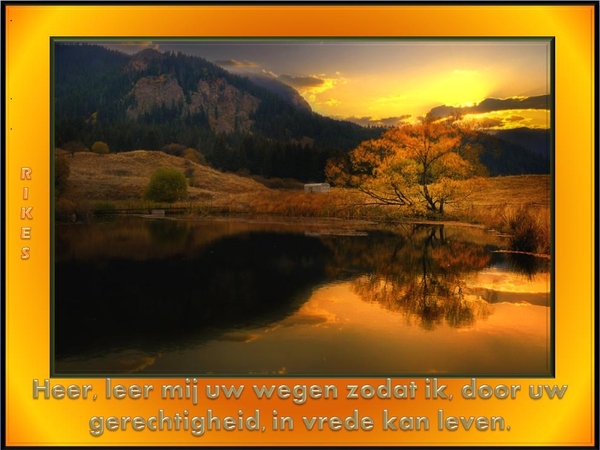 Gezegde  667