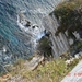 BONIFACIO (37)
