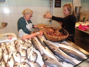 Corsica Deel 1 256