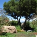 JUNI 2010 (3)