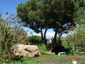 JUNI 2010 (3)