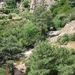 PAINA (1)