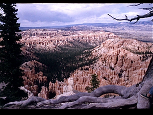 Bryce Canyon  (Utah USA)