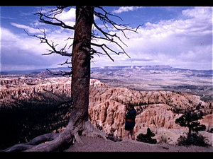 Bryce Canyon  (Utah USA)