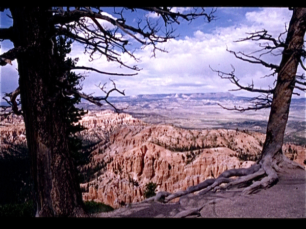 Bryce Canyon  (Utah USA)