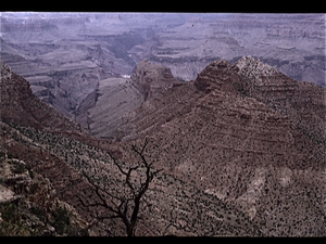 Grand Canyon  (Arizona USA)