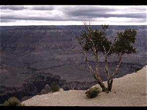 Grand Canyon  (Arizona USA)