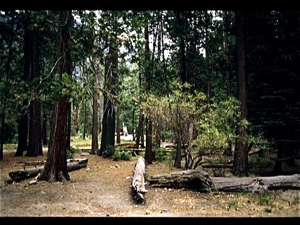 Yosemite Valley