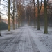 Winter 2007-2008 004