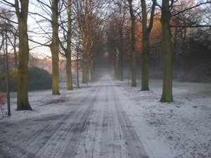 Winter 2007-2008 004