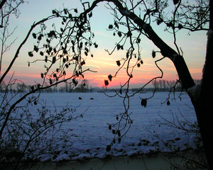 PDVD_184