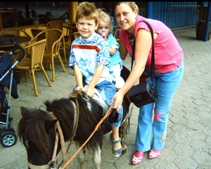 PDVD_227