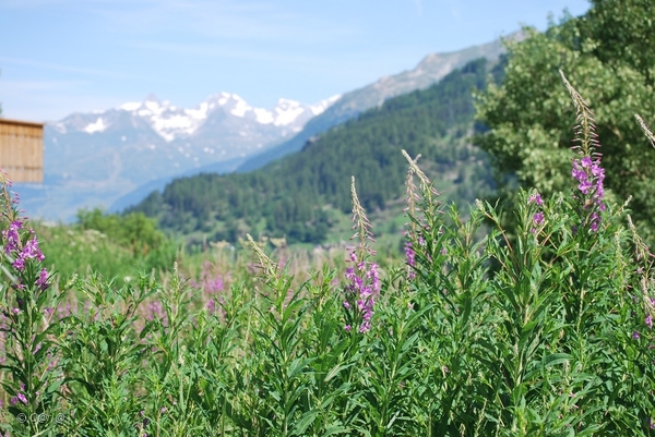 2010-07-12 D5 Val d' Isere  (37)