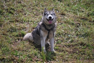 2010-07-13 D6 La Plagne (109)