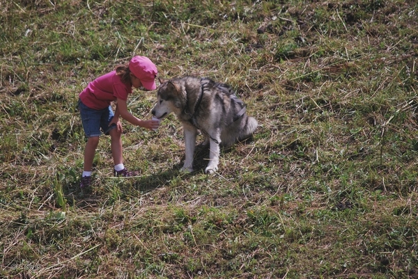 2010-07-13 D6 La Plagne (112)