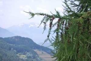 2010-07-13 D6 La Plagne (117)