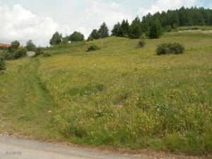 2010-07-13 D6 La Plagne (142)