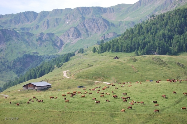2010-07-13 D6 La Plagne (16)