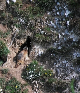 2010-07-13 D6 La Plagne (30)