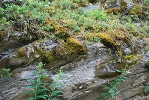 2010-07-13 D6 La Plagne (65)