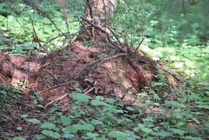 2010-07-13 D6 La Plagne (71)