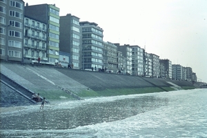 DSC00577