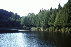 DSC00622
