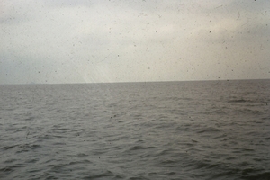 DSC00680