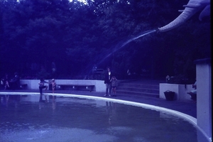 DSC00726