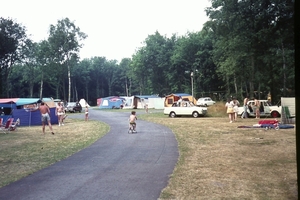 DSC00236
