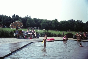 DSC00253