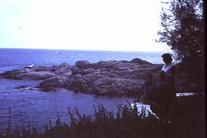 DSC00411