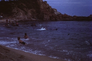 DSC00418