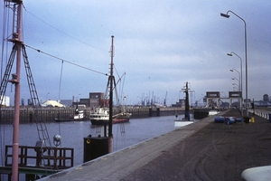 DSC00492