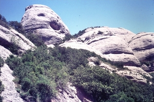DSC00879