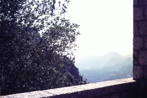 DSC00882