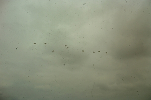 DSC00947